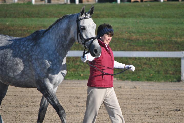 PA Sassporilla & Roxane Sport Horse in Hand